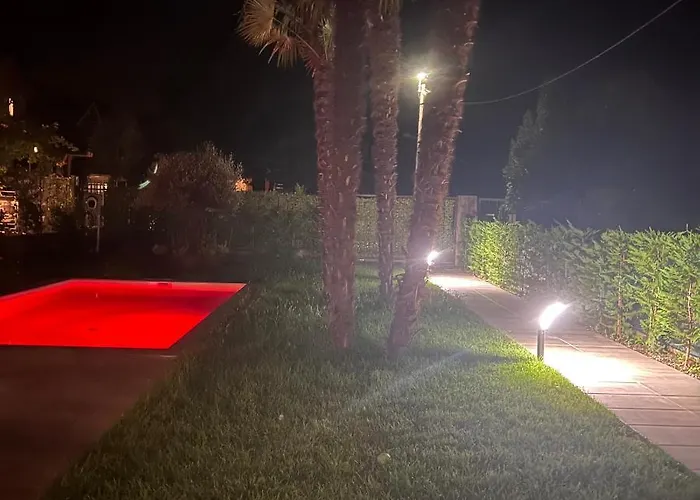 فيلة Lido - *